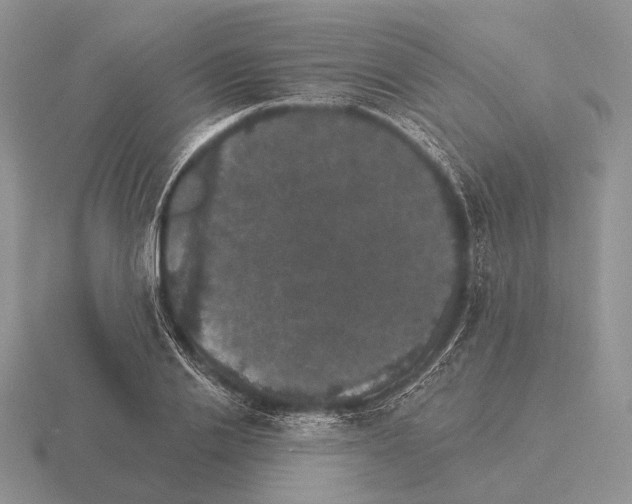 X0000115400838200912151519