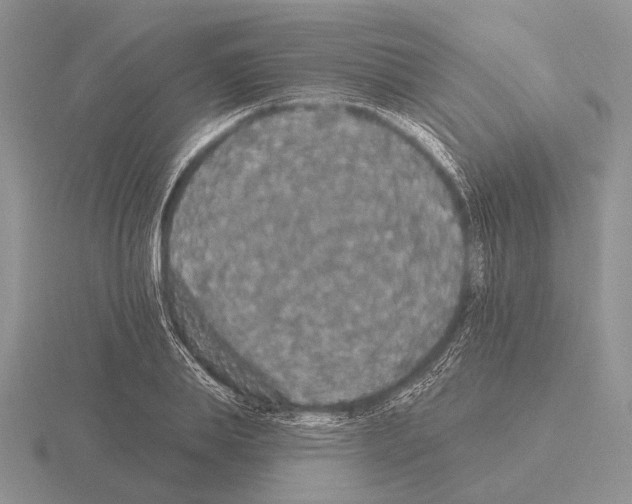 X0000115400839200912151519