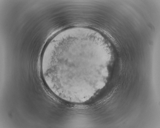 X0000115400840200912151519