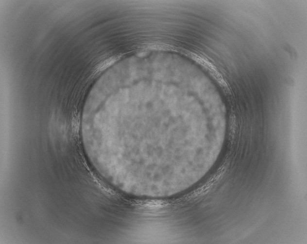 X0000115400841200912151519