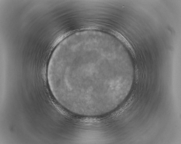 X0000115400842200912151519