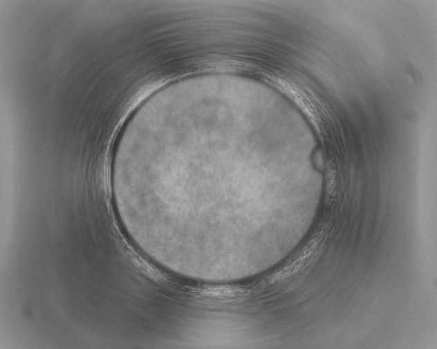 X0000115400843200912151519