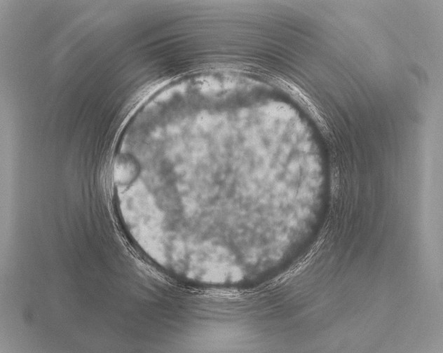 X0000115400844200912151519