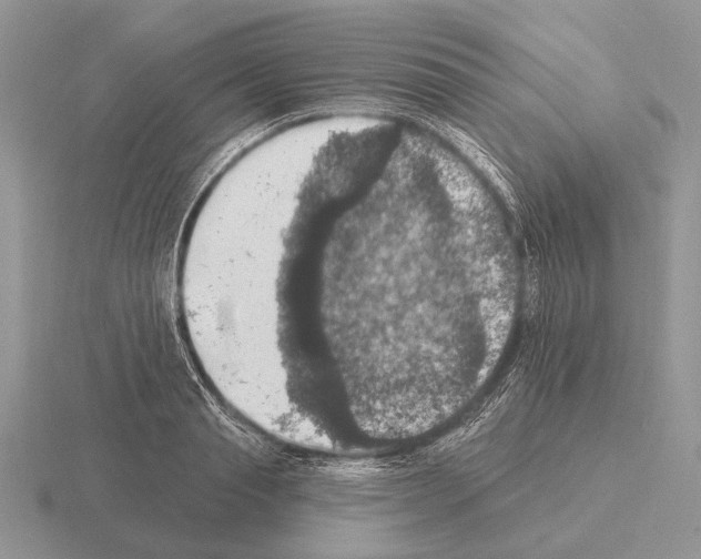 X0000115400845200912151519