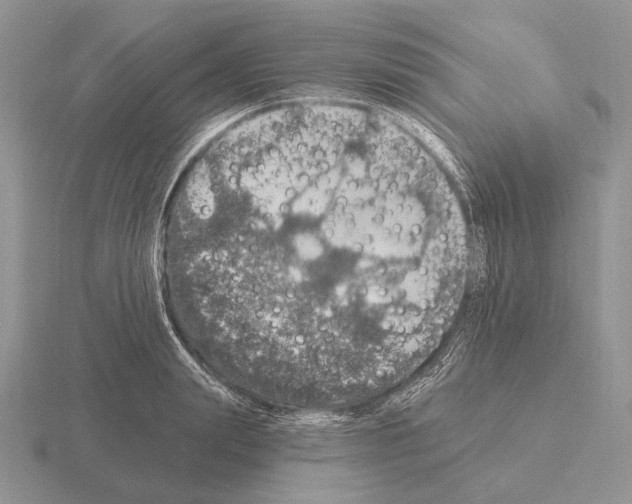 X0000115400847200912151519