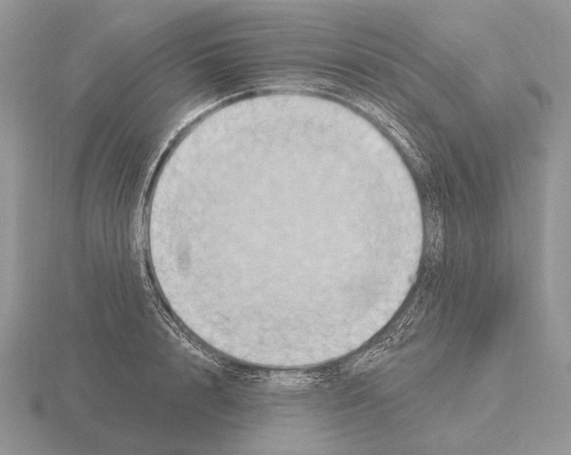 X0000115400848200912151519