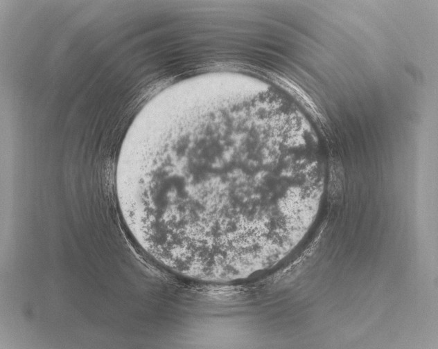 X0000115400849200912151519