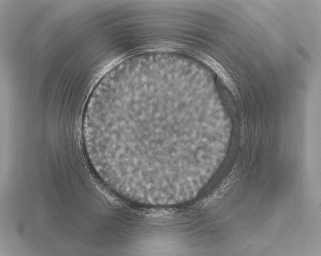 X0000115400850200912151519