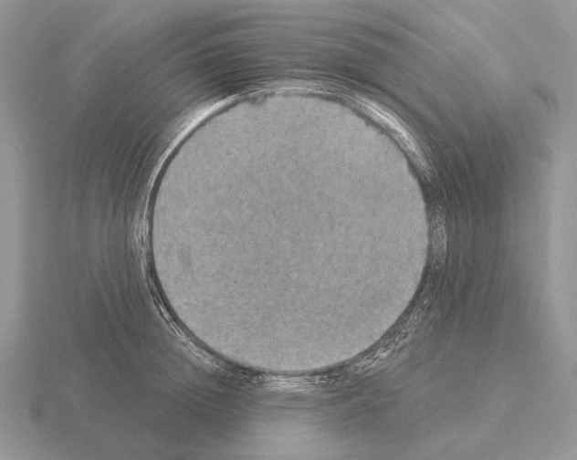 X0000115400852200912151519