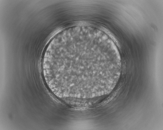 X0000115400853200912151519