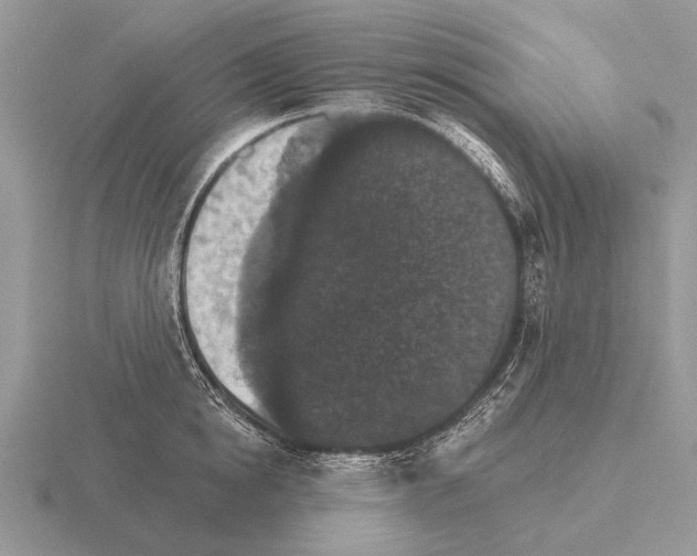 X0000115400854200912151519