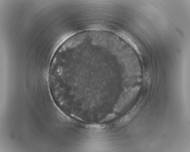 X0000115400855200912151519