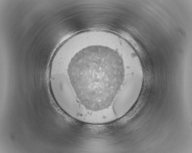 X0000115400856200912151519