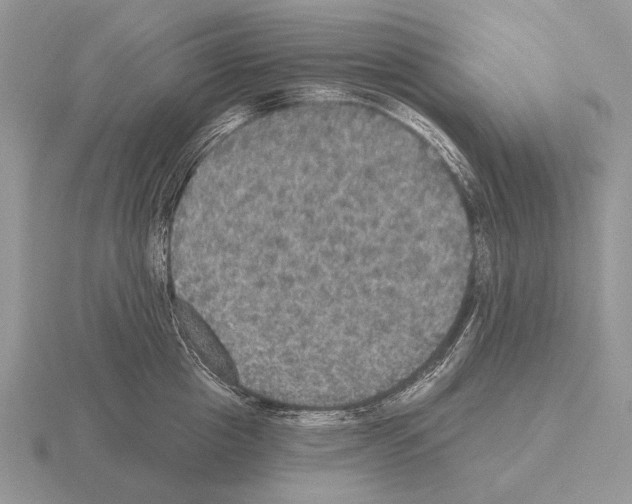 X0000115400857200912151519