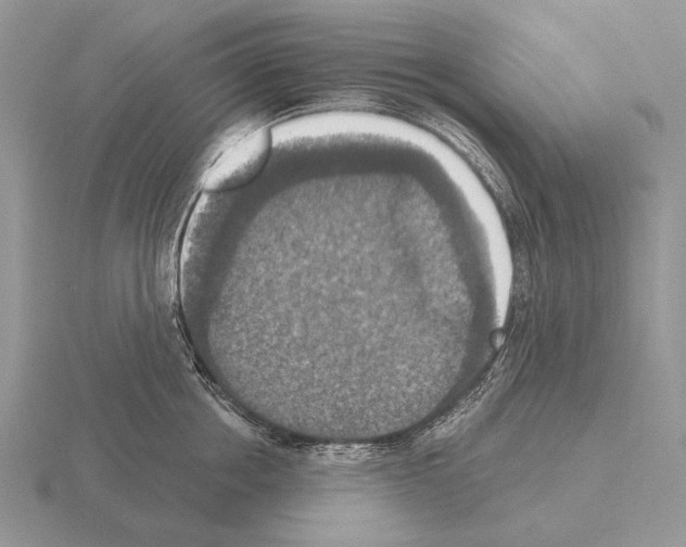 X0000115400858200912151519