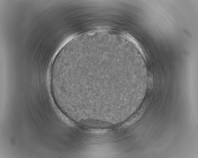 X0000115400859200912151519