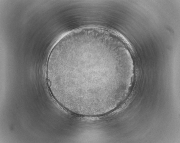 X0000115400860200912151519