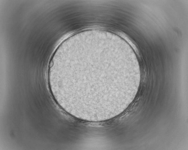 X0000115400861200912151519