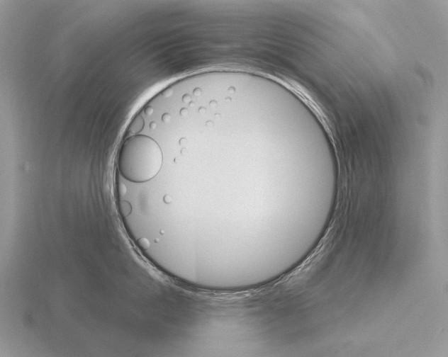 X0000115400862200912151519