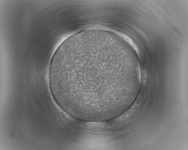 X0000115400863200912151519