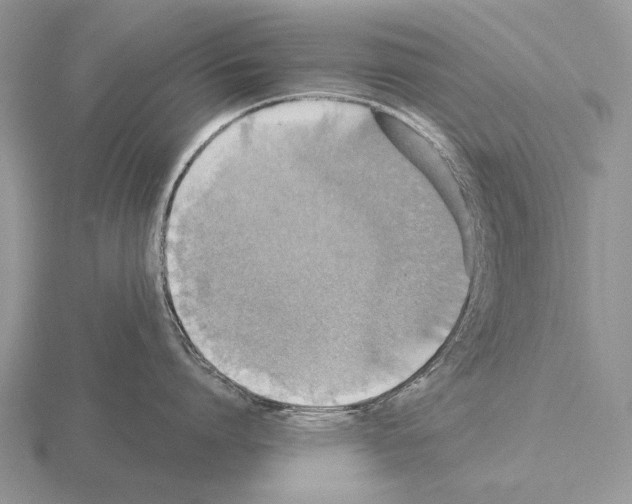 X0000115400864200912151519