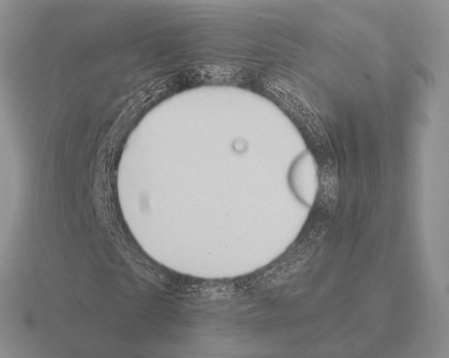 X0000115400865200912151518