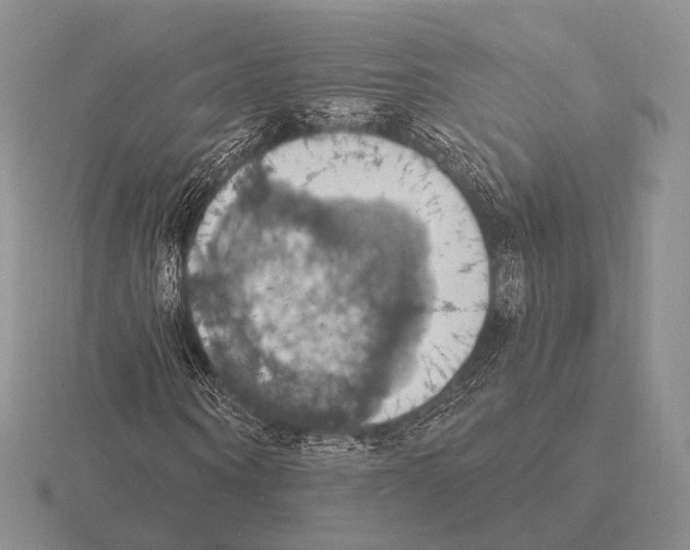 X0000115400866200912151518