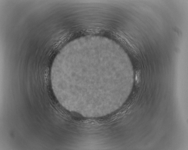 X0000115400867200912151518