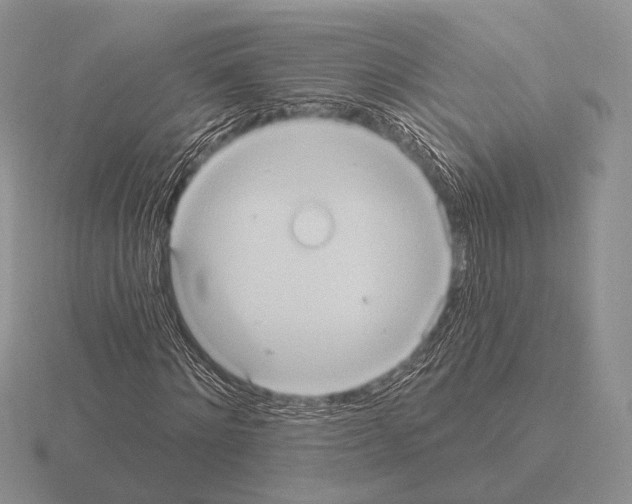 X0000115400868200912151518