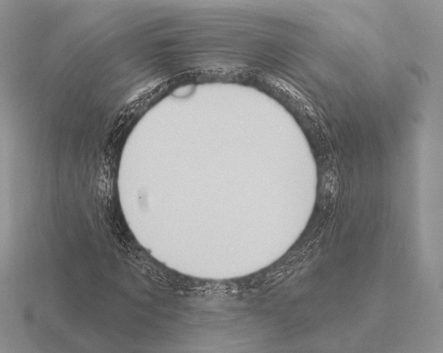 X0000115400869200912151518