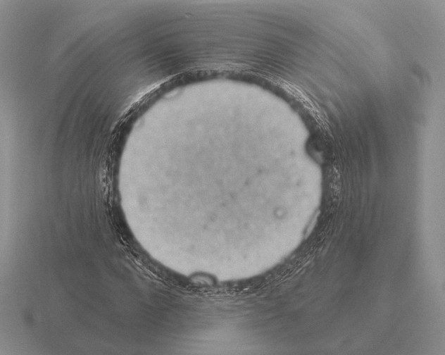 X0000115400872200912151518