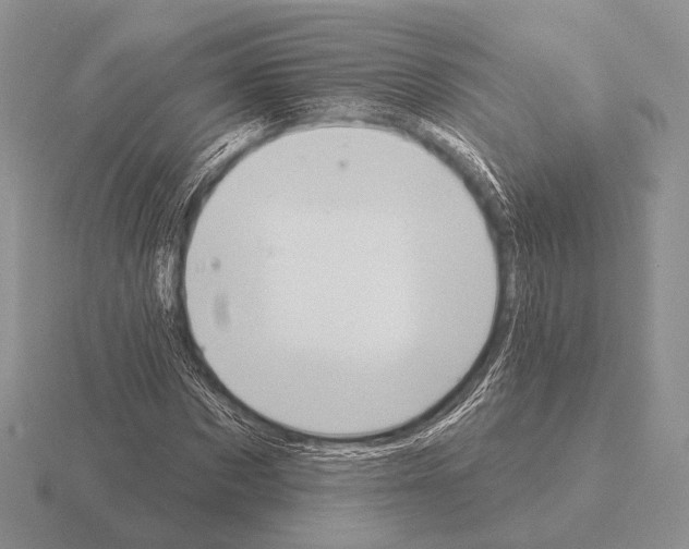 X0000115400873200912151518