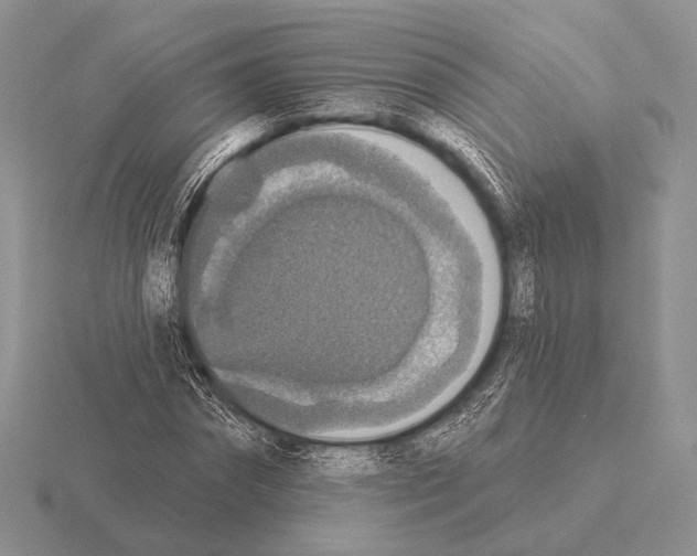 X0000115400874200912151518