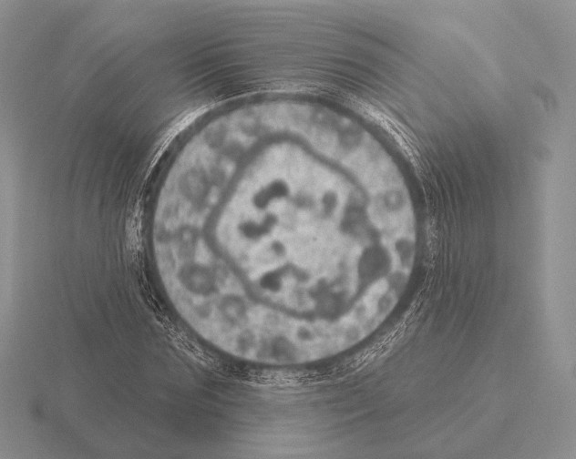 X0000115400875200912151518