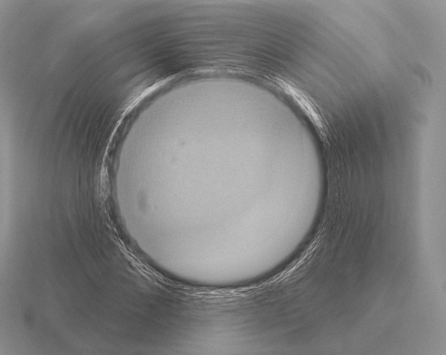 X0000115400876200912151518