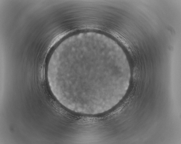 X0000115400877200912151518