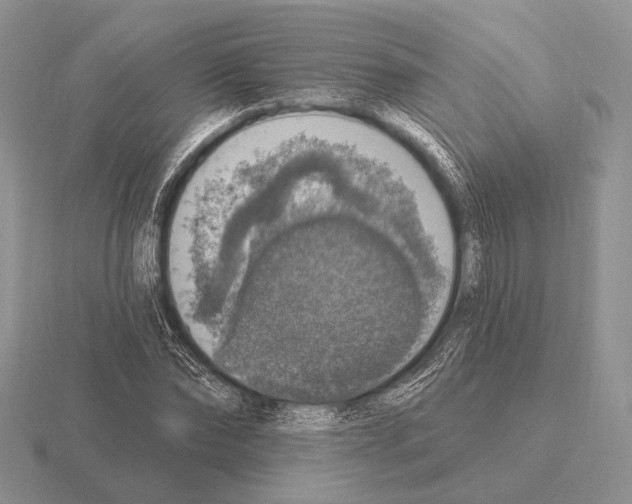 X0000115400878200912151518