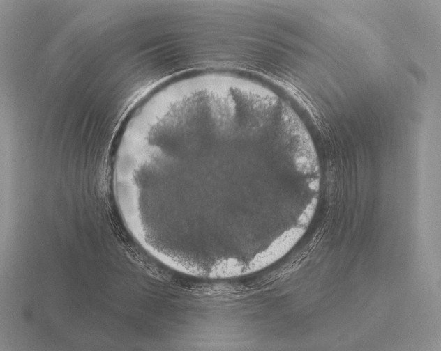 X0000115400879200912151518