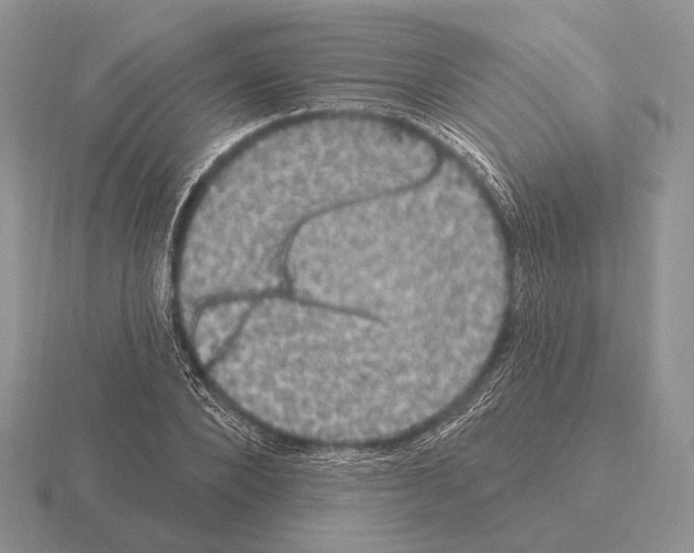 X0000115400880200912151518