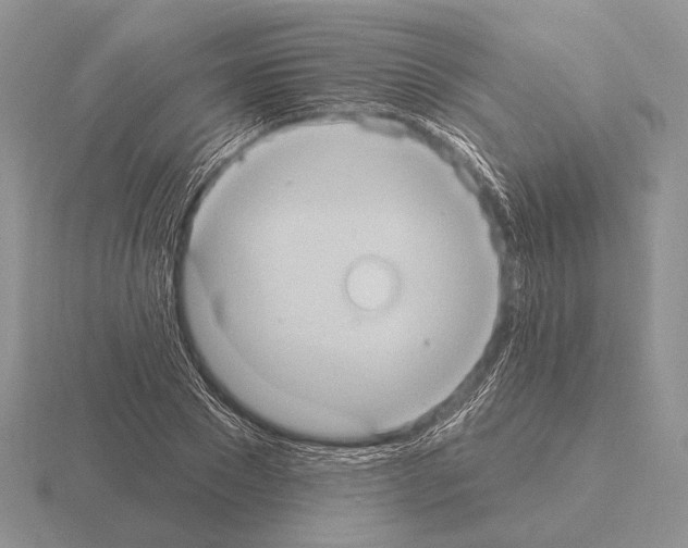 X0000115400881200912151518