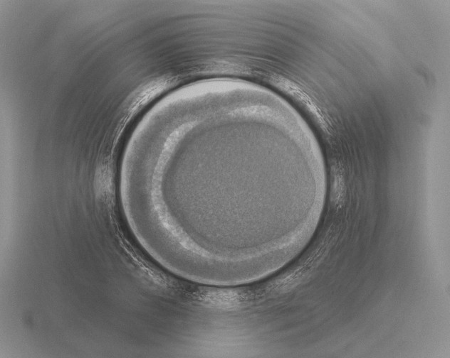 X0000115400882200912151518