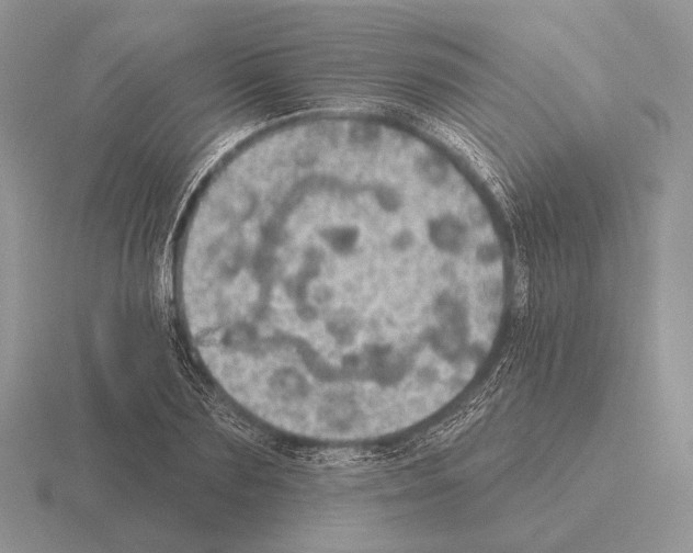 X0000115400883200912151518