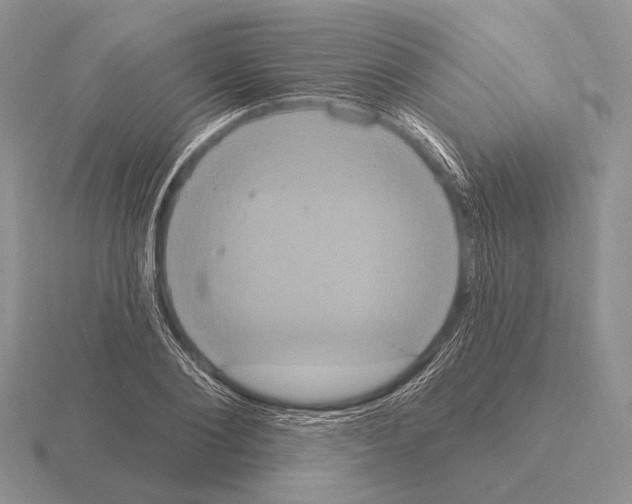 X0000115400884200912151518