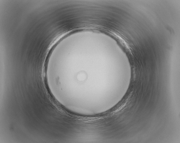 X0000115400885200912151518