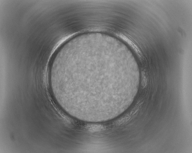 X0000115400886200912151518