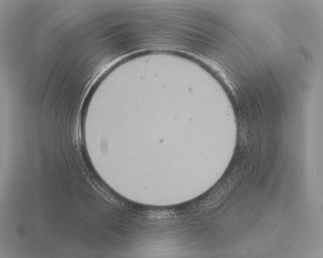 X0000115400887200912151518