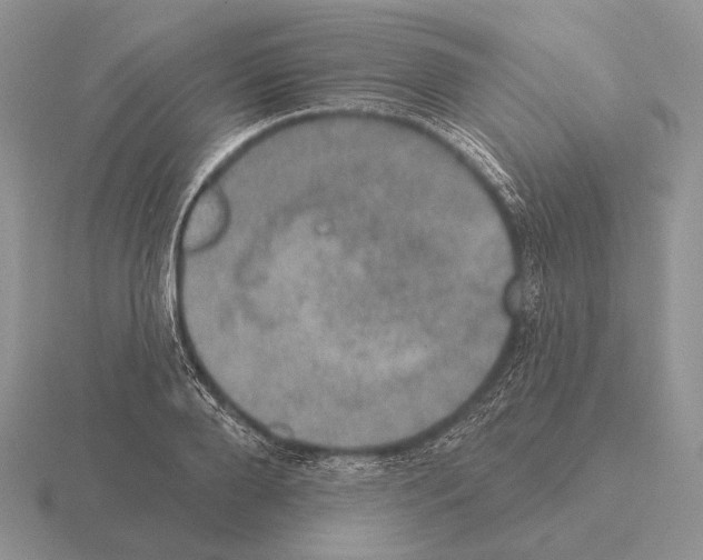 X0000115400888200912151518