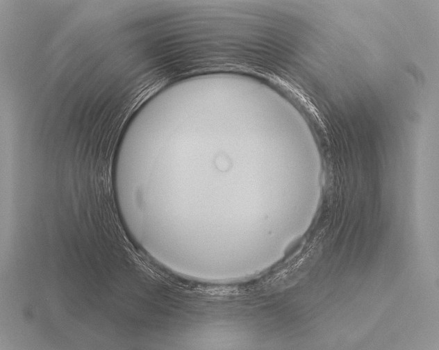 X0000115400889200912151518