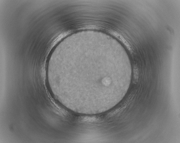 X0000115400890200912151518