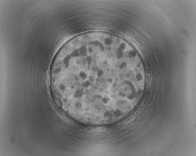 X0000115400891200912151518